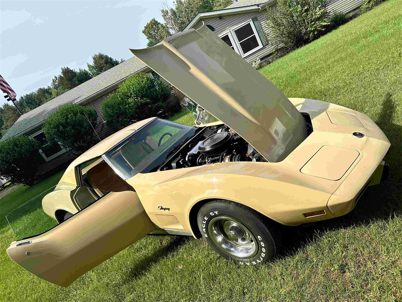 Chevrolet-Corvette-stingray-1976-Beige-Beige-1