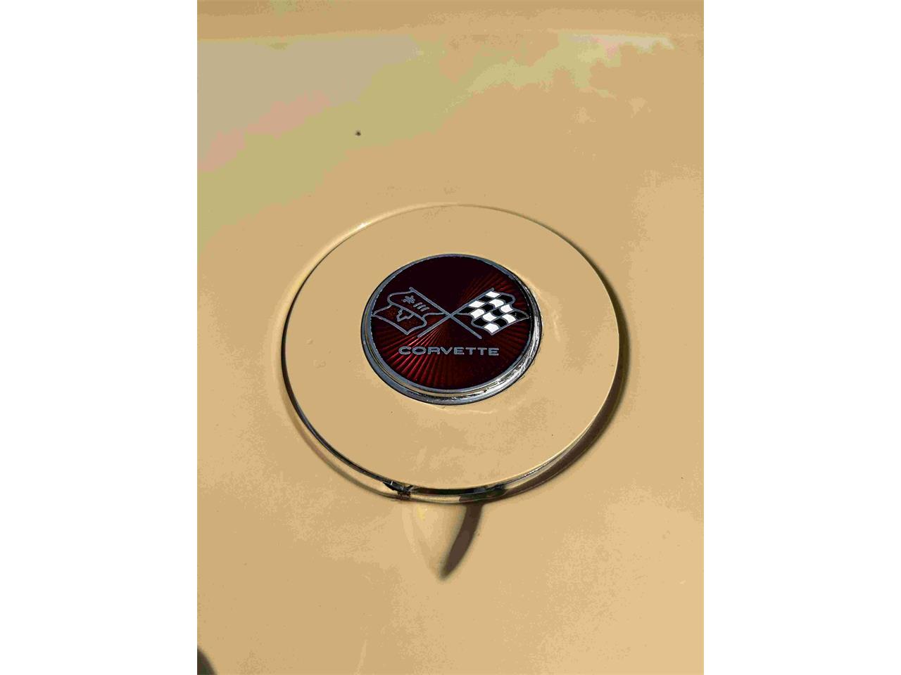 Chevrolet-Corvette-stingray-1976-Beige-Beige-10