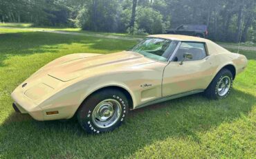 Chevrolet-Corvette-stingray-1976-Beige-Beige-12