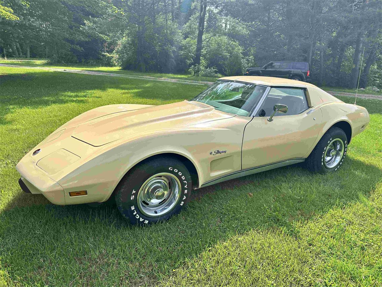 Chevrolet-Corvette-stingray-1976-Beige-Beige-12