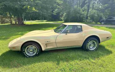 Chevrolet-Corvette-stingray-1976-Beige-Beige-13
