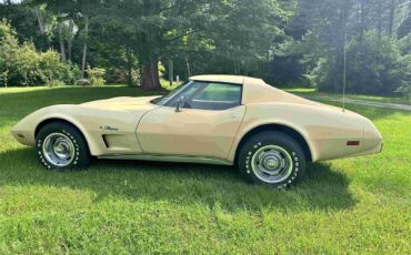 Chevrolet-Corvette-stingray-1976-Beige-Beige-14