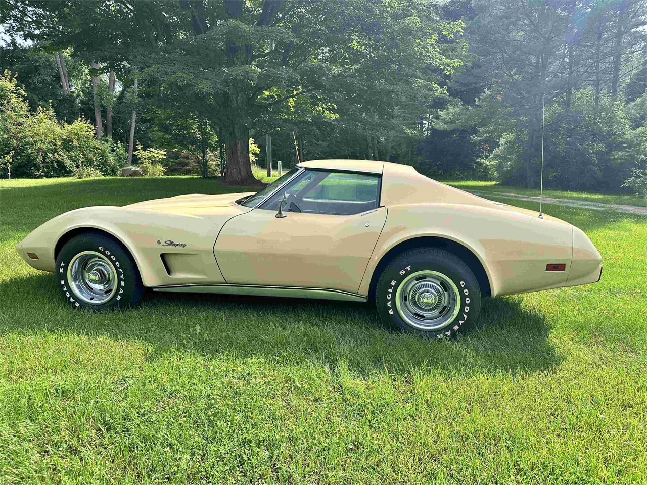 Chevrolet-Corvette-stingray-1976-Beige-Beige-14