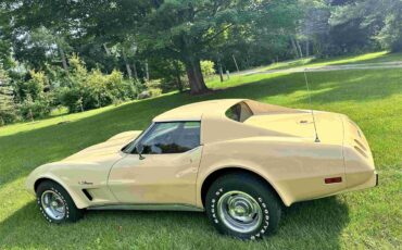 Chevrolet-Corvette-stingray-1976-Beige-Beige-15