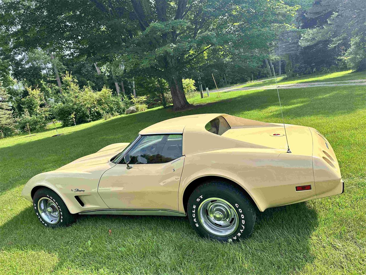 Chevrolet-Corvette-stingray-1976-Beige-Beige-15