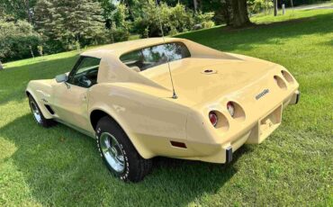 Chevrolet-Corvette-stingray-1976-Beige-Beige-16