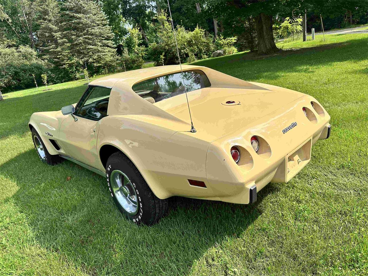 Chevrolet-Corvette-stingray-1976-Beige-Beige-16