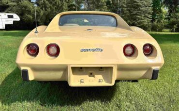 Chevrolet-Corvette-stingray-1976-Beige-Beige-17