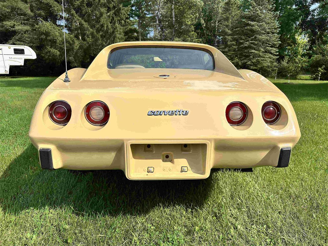 Chevrolet-Corvette-stingray-1976-Beige-Beige-17