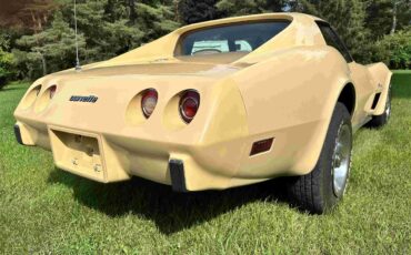 Chevrolet-Corvette-stingray-1976-Beige-Beige-18