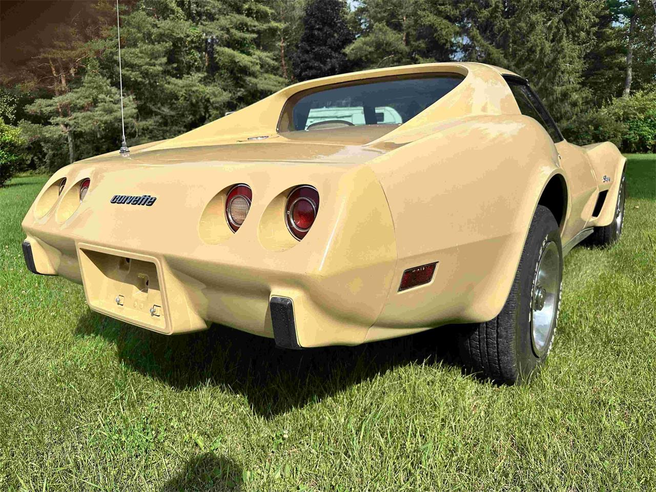 Chevrolet-Corvette-stingray-1976-Beige-Beige-18