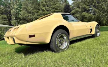 Chevrolet-Corvette-stingray-1976-Beige-Beige-19