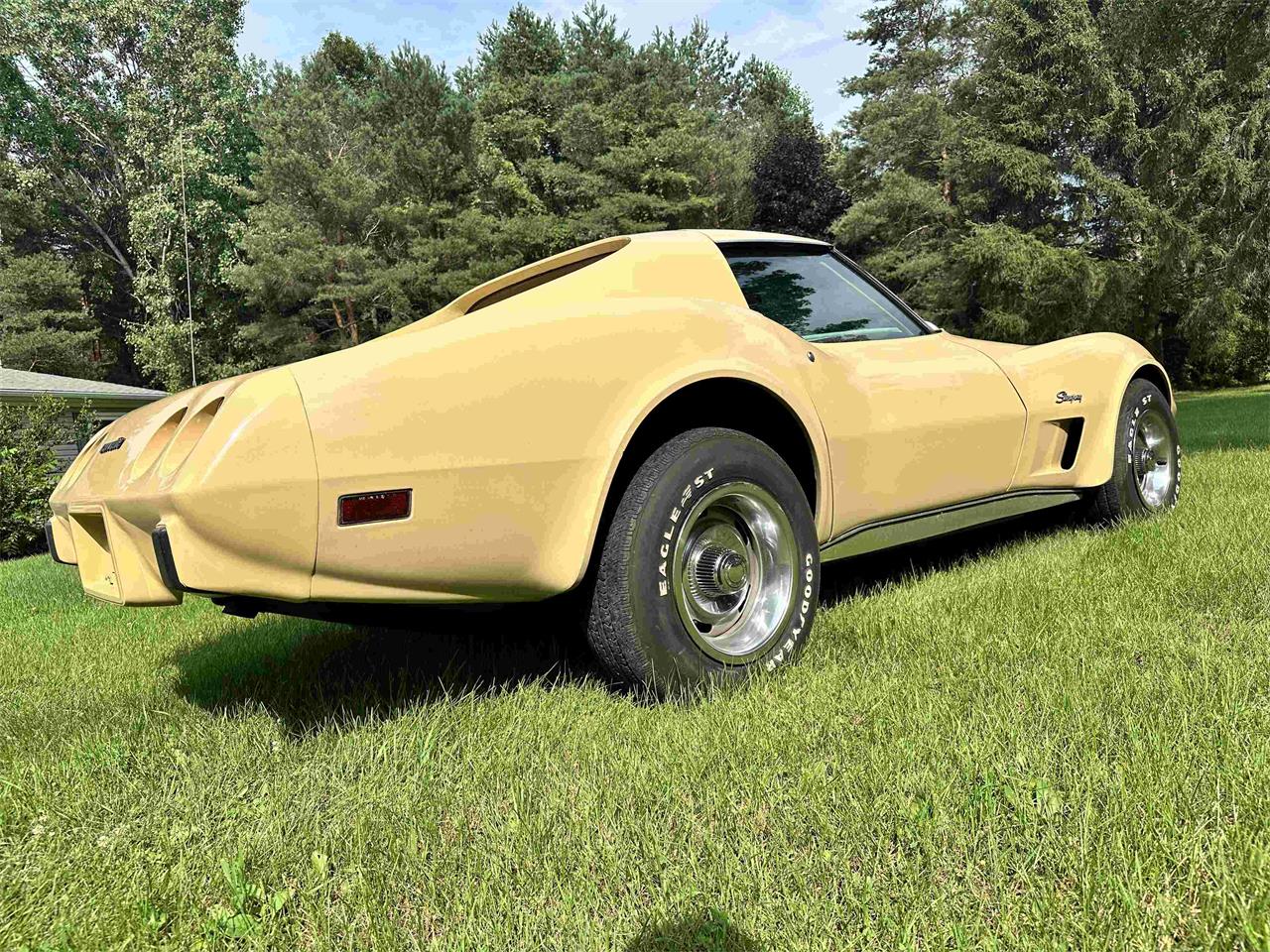 Chevrolet-Corvette-stingray-1976-Beige-Beige-19