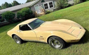Chevrolet-Corvette-stingray-1976-Beige-Beige-20