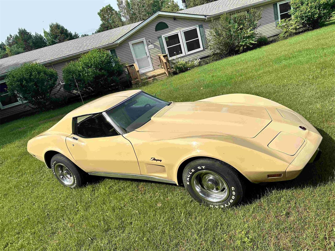Chevrolet-Corvette-stingray-1976-Beige-Beige-20