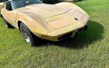 Chevrolet-Corvette-stingray-1976-Beige-Beige-21