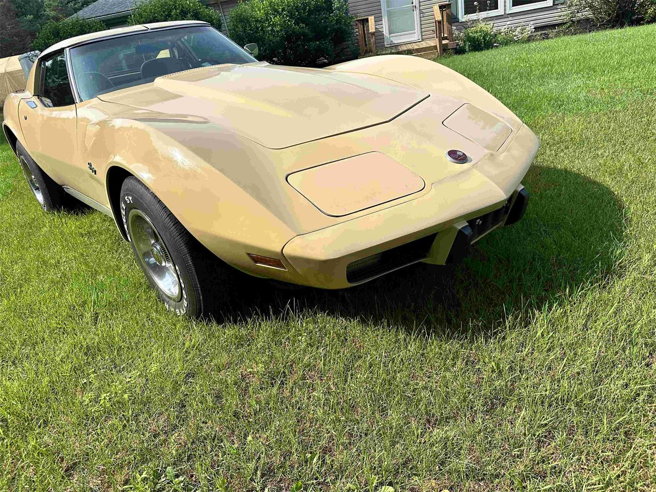 Chevrolet-Corvette-stingray-1976-Beige-Beige-21