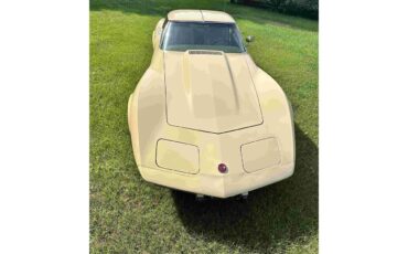 Chevrolet-Corvette-stingray-1976-Beige-Beige-22