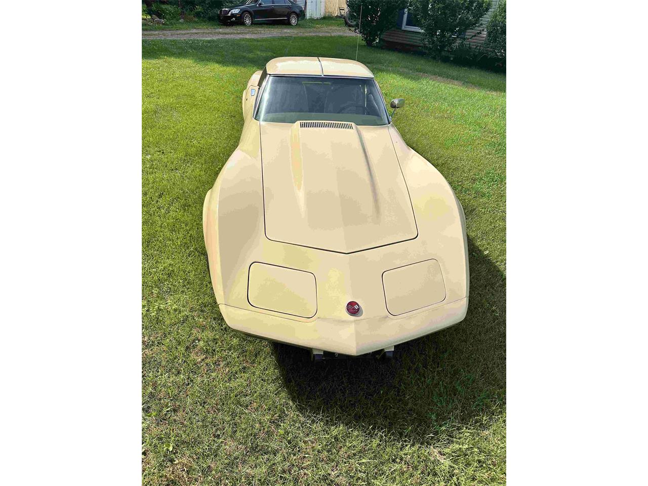 Chevrolet-Corvette-stingray-1976-Beige-Beige-22
