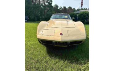 Chevrolet-Corvette-stingray-1976-Beige-Beige-23