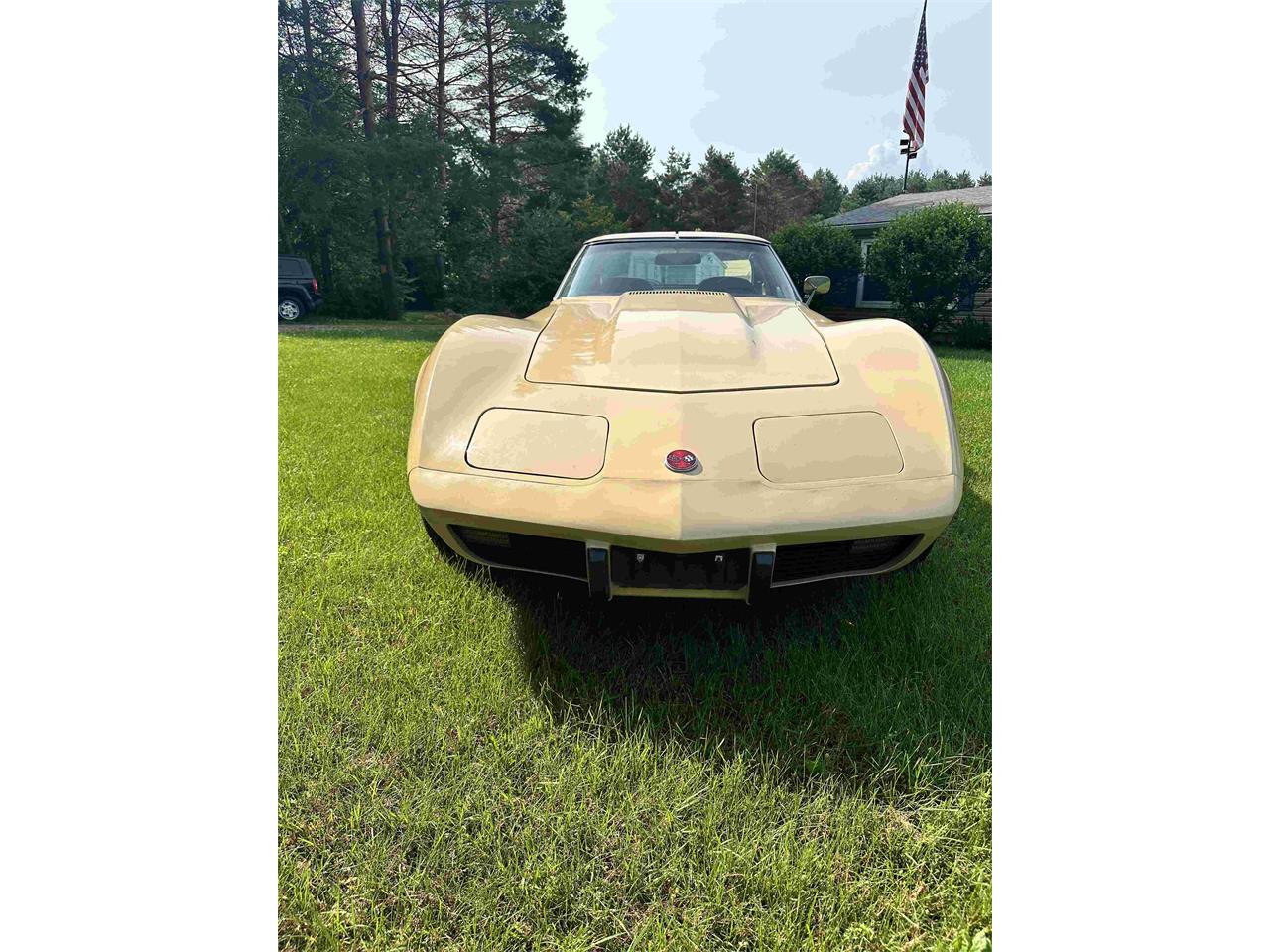 Chevrolet-Corvette-stingray-1976-Beige-Beige-23