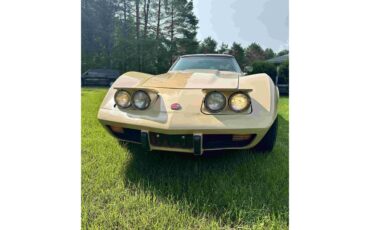 Chevrolet-Corvette-stingray-1976-Beige-Beige-24