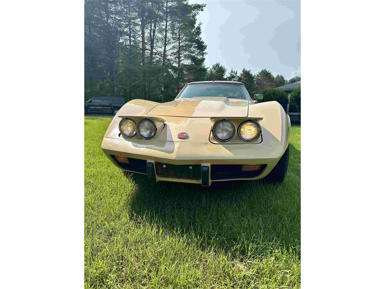 Chevrolet-Corvette-stingray-1976-Beige-Beige-24