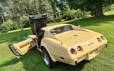 Chevrolet-Corvette-stingray-1976-Beige-Beige-25