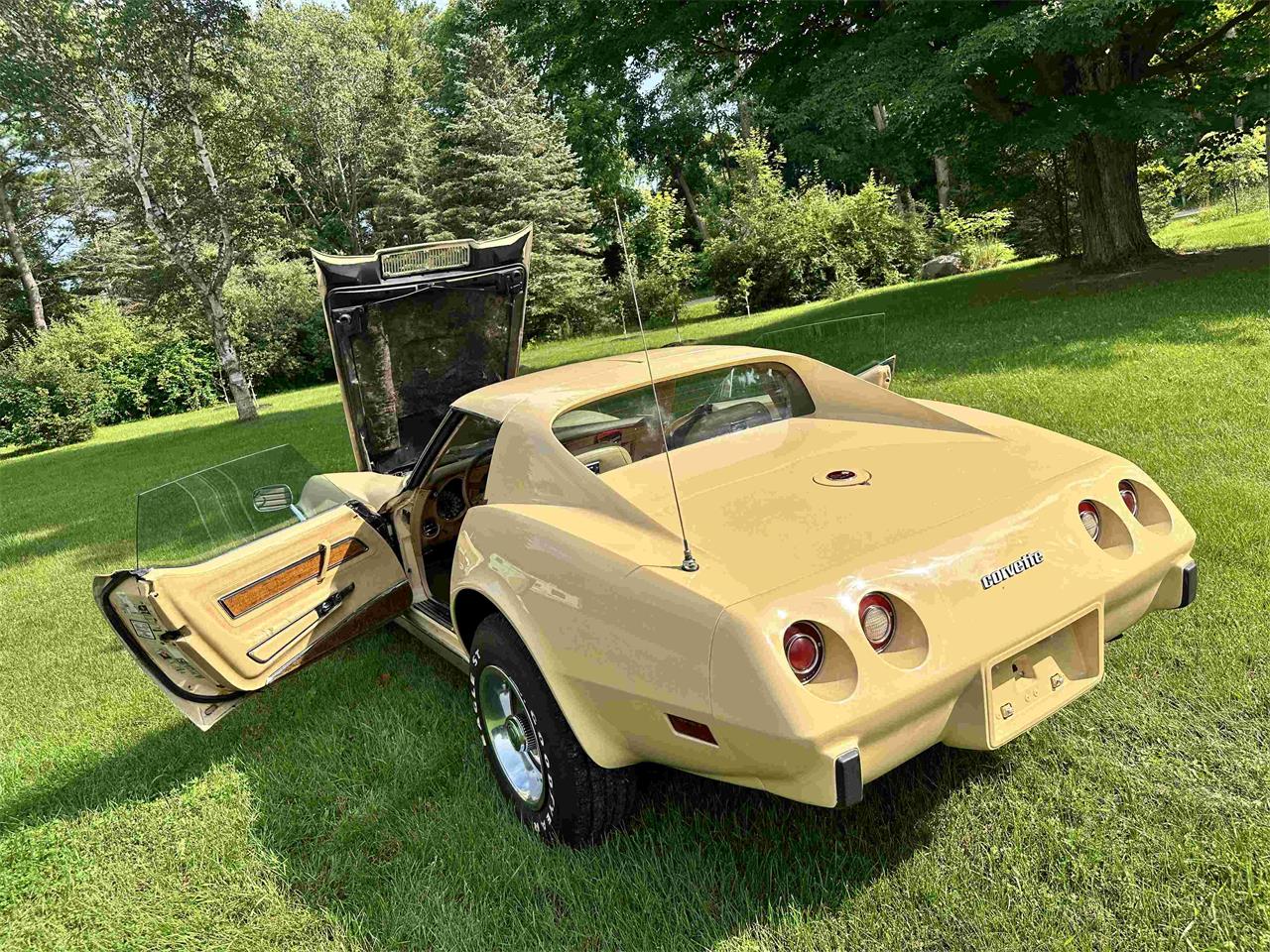 Chevrolet-Corvette-stingray-1976-Beige-Beige-25