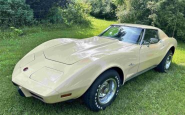 Chevrolet-Corvette-stingray-1976-Beige-Beige-26
