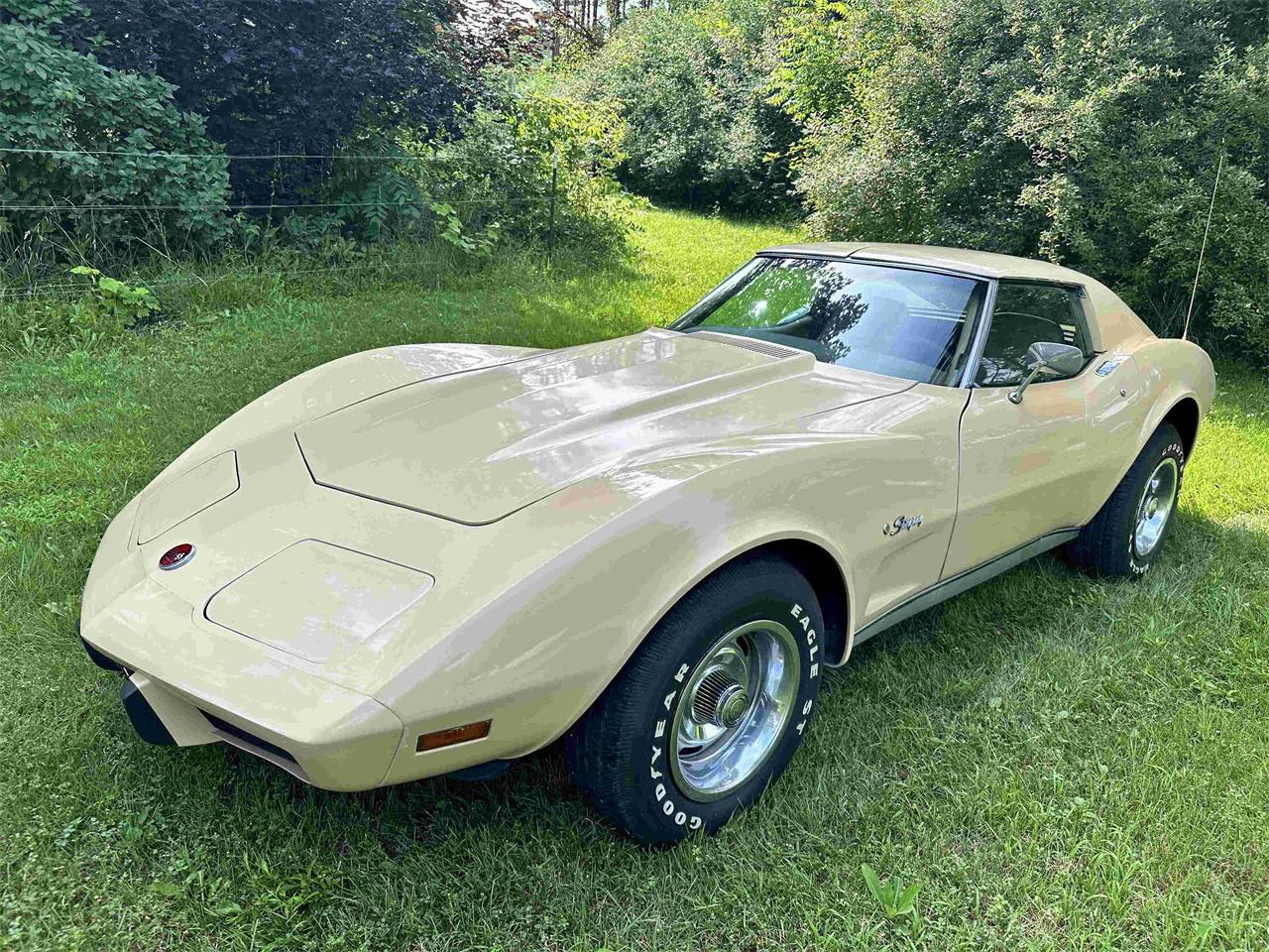 Chevrolet-Corvette-stingray-1976-Beige-Beige-26