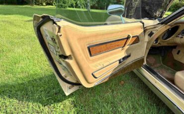 Chevrolet-Corvette-stingray-1976-Beige-Beige-27