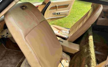Chevrolet-Corvette-stingray-1976-Beige-Beige-29