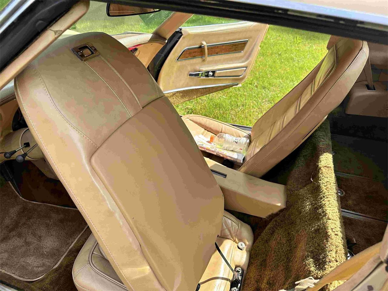 Chevrolet-Corvette-stingray-1976-Beige-Beige-29