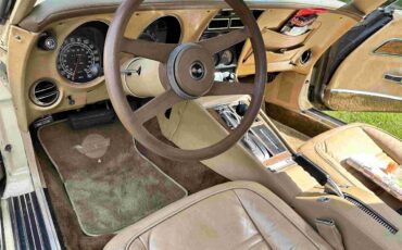 Chevrolet-Corvette-stingray-1976-Beige-Beige-30
