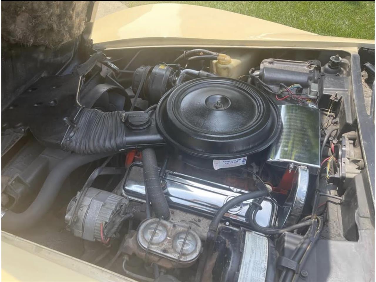 Chevrolet-Corvette-stingray-1976-Beige-Beige-32
