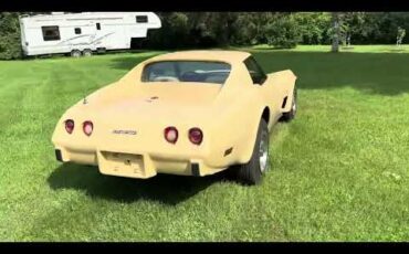 Chevrolet-Corvette-stingray-1976-Beige-Beige