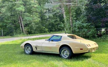Chevrolet-Corvette-stingray-1976-Beige-Beige-5