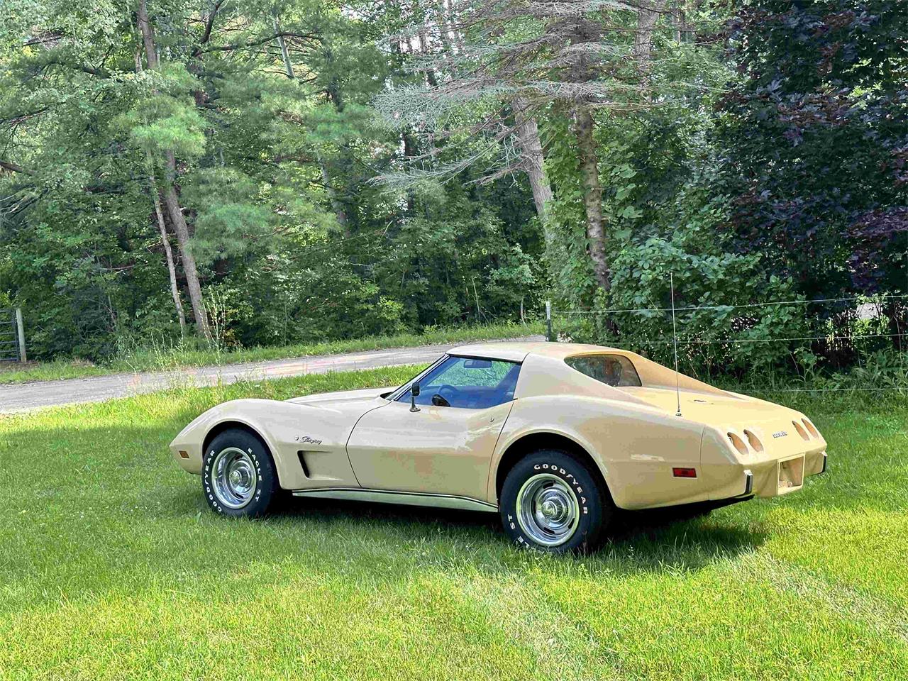 Chevrolet-Corvette-stingray-1976-Beige-Beige-5