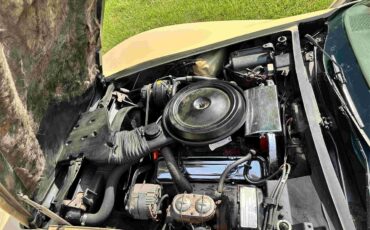 Chevrolet-Corvette-stingray-1976-Beige-Beige-6