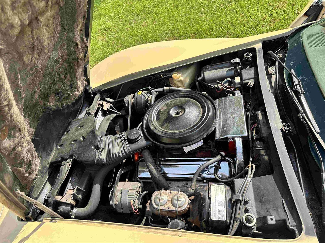 Chevrolet-Corvette-stingray-1976-Beige-Beige-6