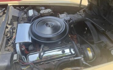 Chevrolet-Corvette-stingray-1976-Beige-Beige-7
