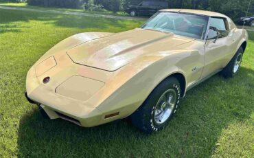 Chevrolet-Corvette-stingray-1976-Beige-Beige-8