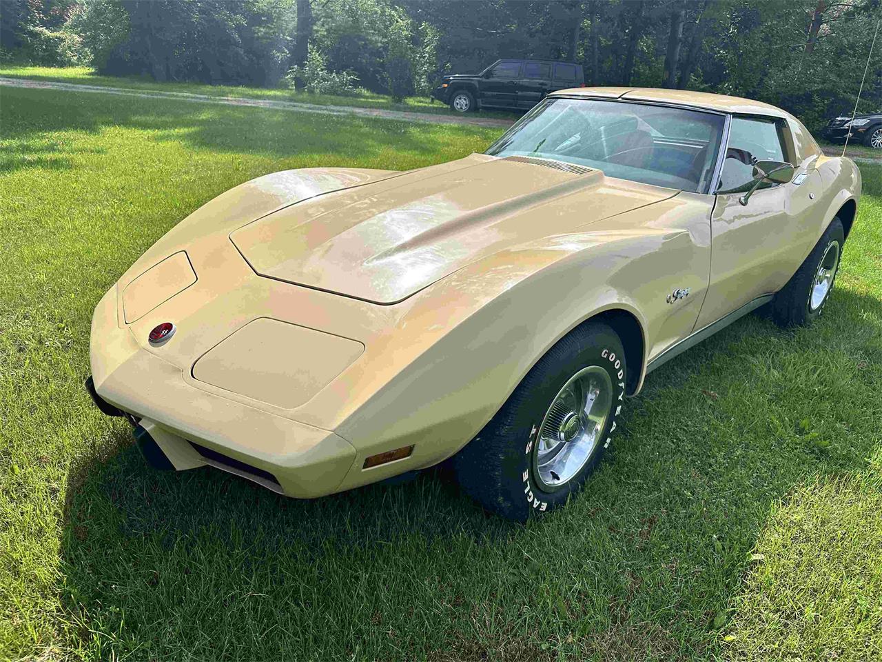 Chevrolet-Corvette-stingray-1976-Beige-Beige-8