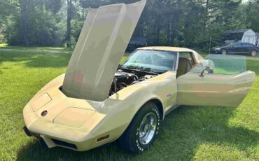 Chevrolet-Corvette-stingray-1976-Beige-Beige-9