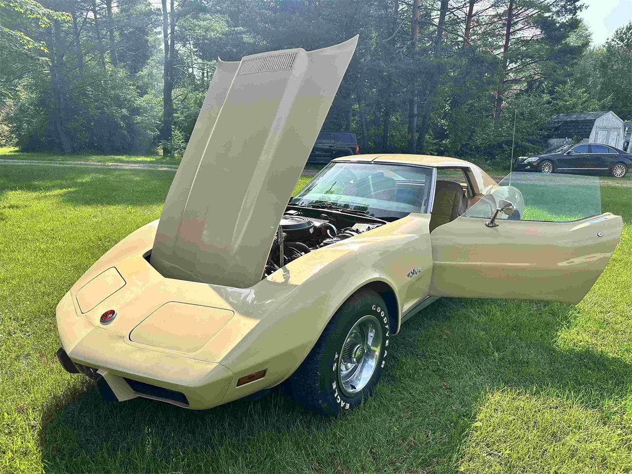 Chevrolet-Corvette-stingray-1976-Beige-Beige-9