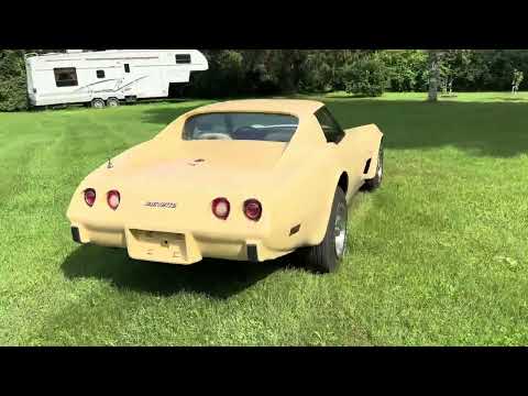 Chevrolet-Corvette-stingray-1976-Beige-Beige
