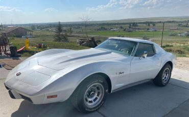 Chevrolet-Corvette-stingray-1976-Pearl-White-Grey-1