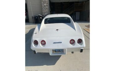 Chevrolet-Corvette-stingray-1976-Pearl-White-Grey-2