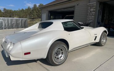 Chevrolet-Corvette-stingray-1976-Pearl-White-Grey-3